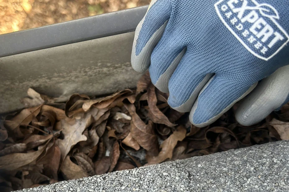 Gutter Cleaning Fultondale